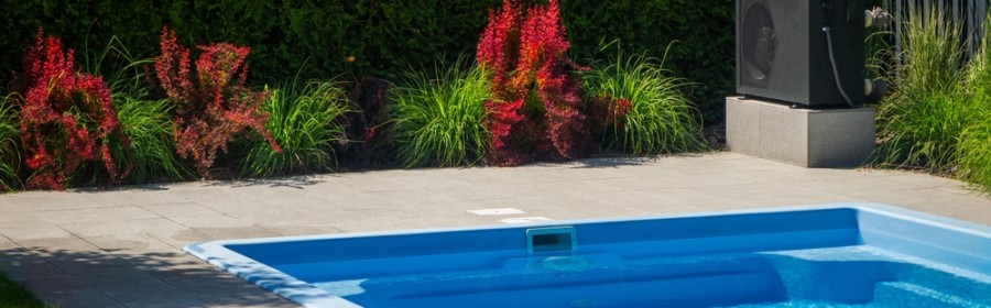 plantes décoratives autour de la piscine