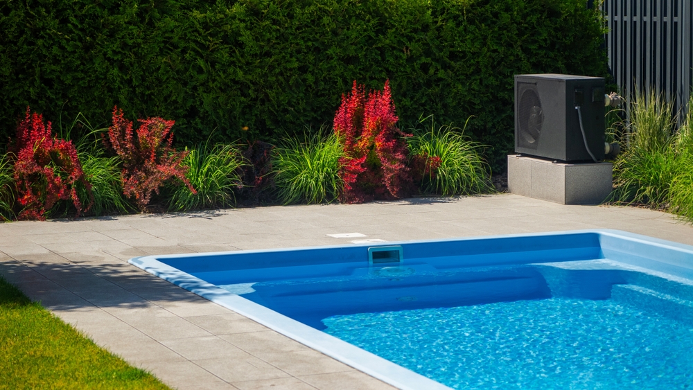 plantes décoratives autour de la piscine