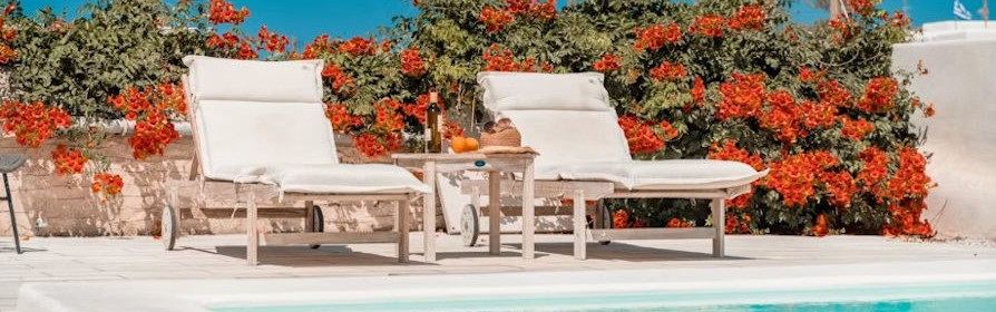 fleurs autour de la piscine