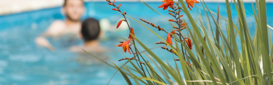 Hommes dans la piscine privée de la famille