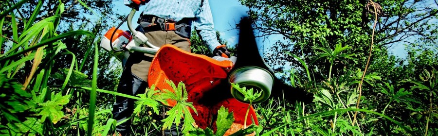 pexels-garden-2179095_1280