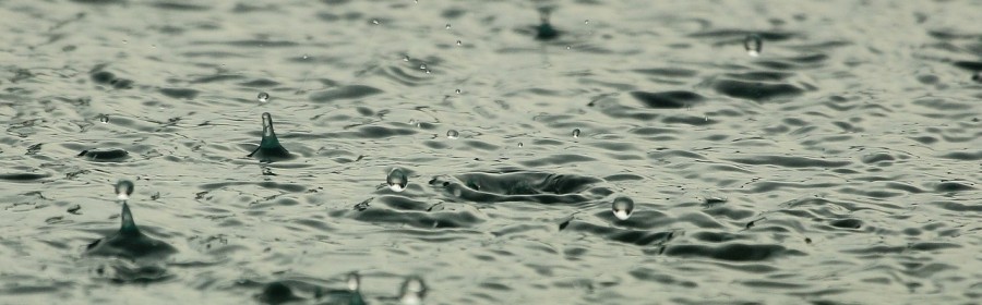 Remplir sa piscine grâce à l’eau de pluie