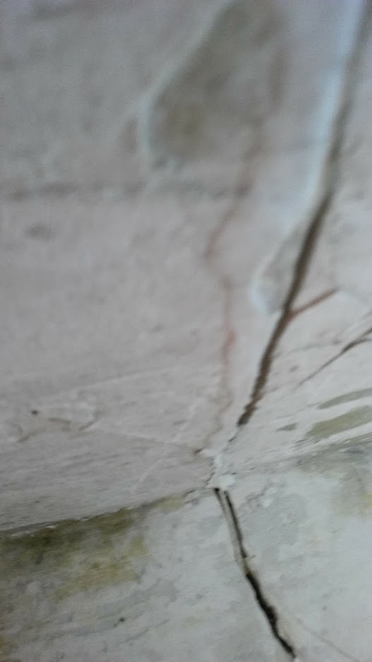 20161022_180136.jpg