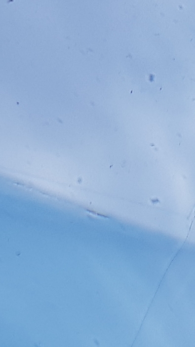 20200615_182901.jpg