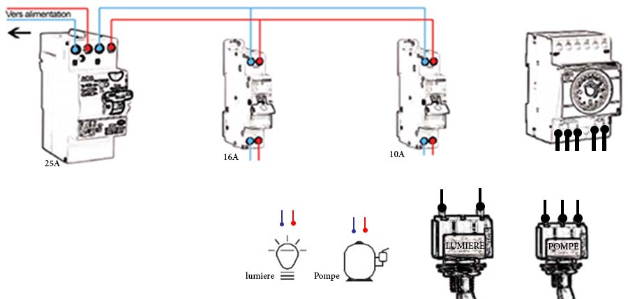 CIRCUIT.jpg