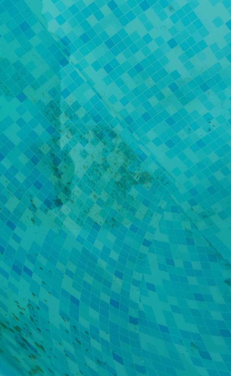 phase1.jpg